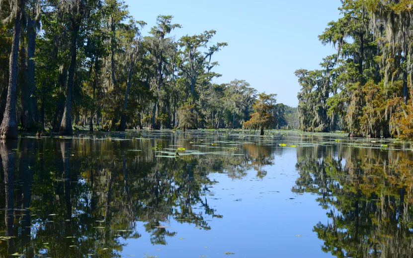 Baton Rouge